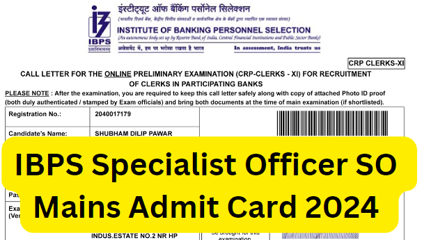 IBPS Specialist Officer SO Main Admit Card 2024